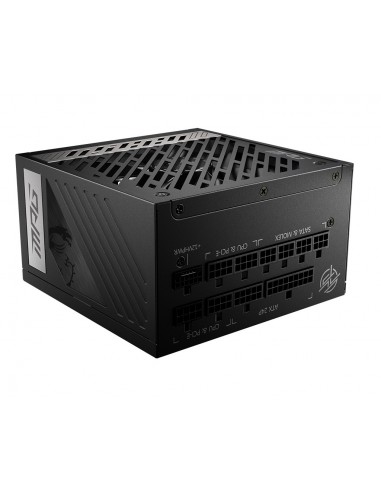 MSI MPG A1000G PCIE5 unidad de fuente de alimentación 1000 W 20+4 pin ATX ATX Negro