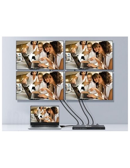 Equip 332717 divisor de video HDMI 4x HDMI