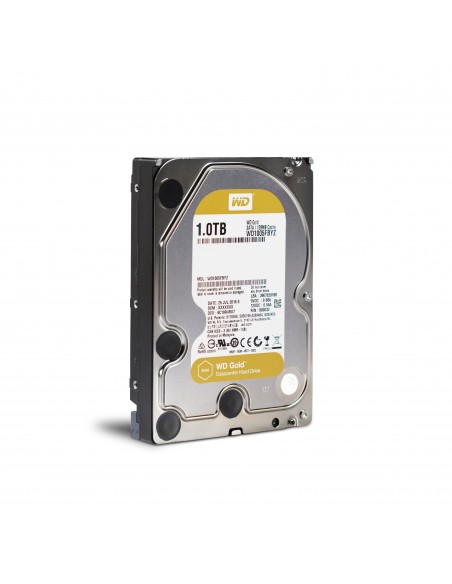 Western Digital Gold 3.5" 1 TB Serial ATA III