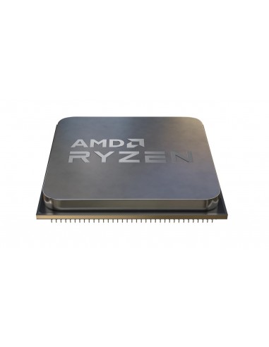 AMD Ryzen 4300G procesador 3,8 GHz 4 MB L3 Caja