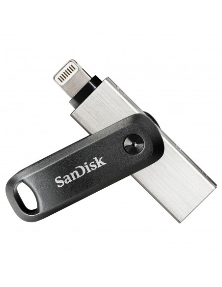 SanDisk SDIX60N-256G-GN6NE unidad flash USB 256 GB 3.2 Gen 1 (3.1 Gen 1) Gris, Plata