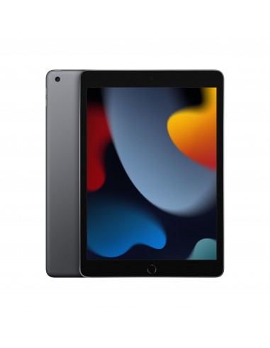 Apple iPad 64 GB 25,9 cm (10.2") 3 GB Wi-Fi 5 (802.11ac) iPadOS 15 Gris