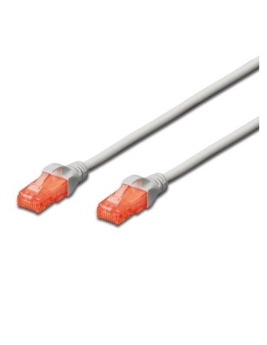 Ewent IM1031 cable de red Gris 10 m Cat6 U UTP (UTP)