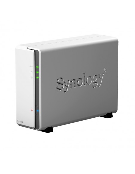 Synology DiskStation DS120j NAS Torre Ethernet Gris 88F3720