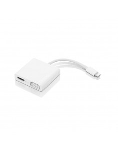 Lenovo GX90T33021 Adaptador gráfico USB Blanco