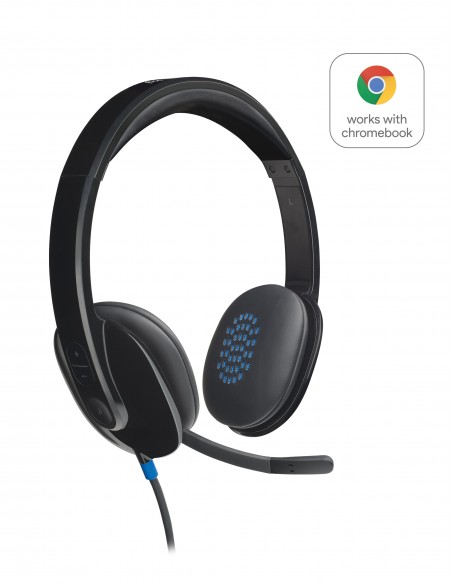 Logitech H540 Auriculares Alámbrico Diadema Oficina Centro de llamadas USB tipo A Negro