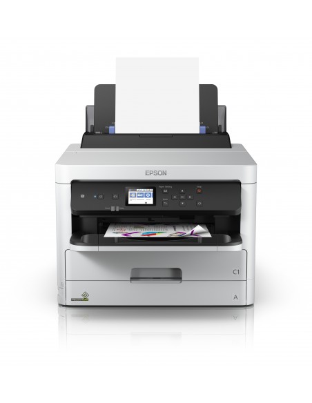 Epson DURABrite Pro