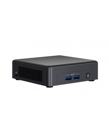 Intel NUC 11 Pro UCFF Negro i7-1165G7