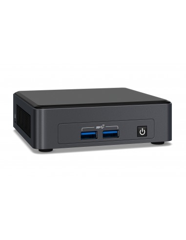 Intel NUC 11 Pro UCFF Negro i7-1165G7