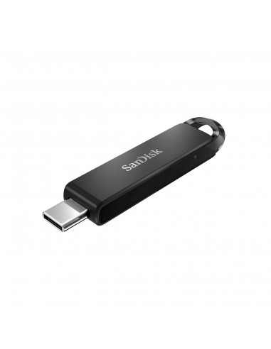 SanDisk SDCZ460-256G-G46 unidad flash USB 256 GB USB Tipo C 3.2 Gen 1 (3.1 Gen 1) Negro