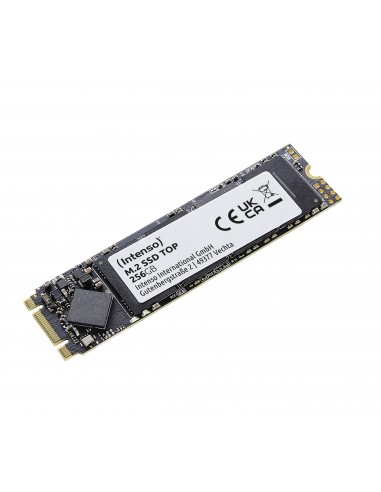 Intenso Top M.2 256 GB Serial ATA III