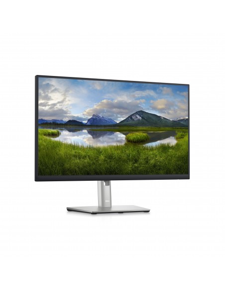 DELL P Series Monitor 60,45cm (23,8") – P2423D