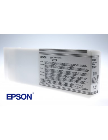 Epson Cartucho T591900 gris claro