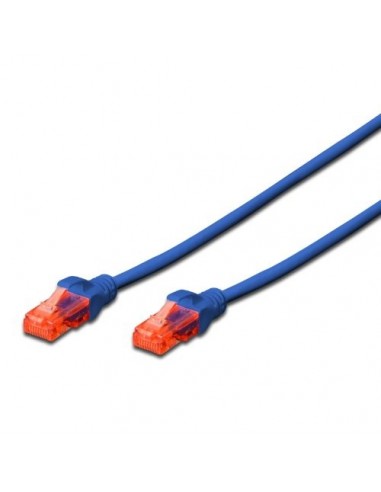 Ewent IM1007 cable de red Azul 1 m Cat6 U UTP (UTP)