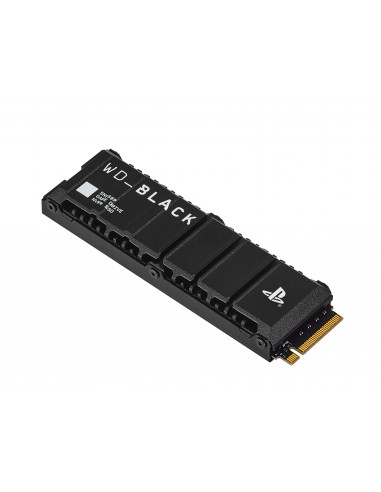 SanDisk SN850P M.2 1 TB PCI Express 4.0 NVMe