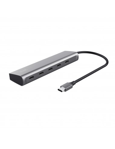 Trust Halyx USB 3.2 Gen 1 (3.1 Gen 1) Type-C Plata