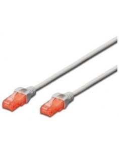 Ewent IM1024 cable de red Rojo 5 m Cat6 U UTP (UTP)