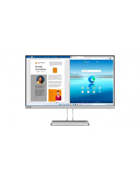 Lenovo L27i-40 LED display 68,6 cm (27") 1920 x 1080 Pixeles Full HD Gris