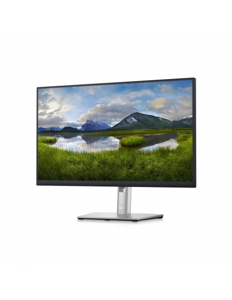 DELL P Series Monitor 24 con concentrador USB-C  P2423DE