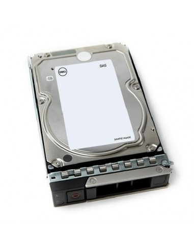 DELL 161-BCJX disco duro interno 12 TB 7200 RPM 3.5" NL-SAS