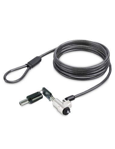 StarTech.com NBLWK-LAPTOP-LOCK cable antirrobo Negro, Plata 2 m