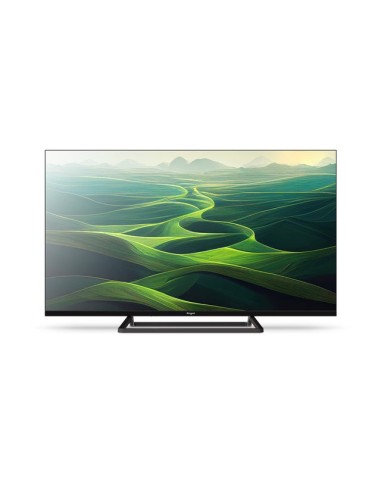 Engel LE4066T2 Televisor 101,6 cm (40") HD Negro 230 cd   m²