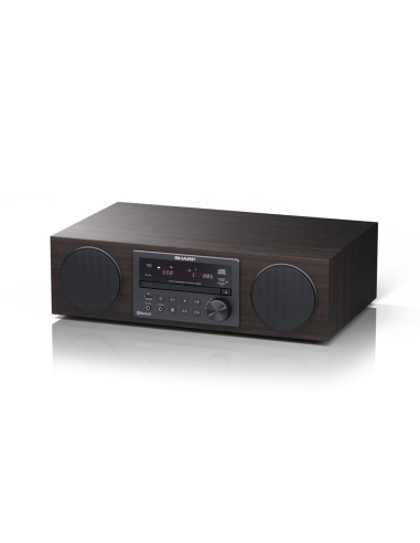 Sharp ALL-IN-ONE HI-FI Sound System Microcadena de música para uso doméstico 100 W Marrón